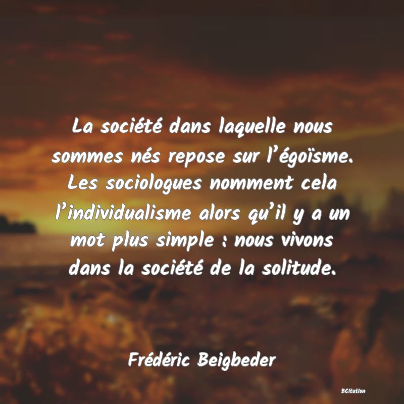 image de citation: La société dans laquelle nous sommes nés repose sur l’égoïsme. Les sociologues nomment cela l’individualisme alors qu’il y a un mot plus simple : nous vivons dans la société de la solitude.