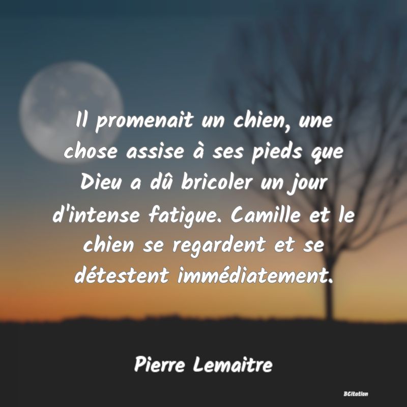 Belle Citation - Il promenait un chien, une chose assise à ses pieds que Dieu a dû bricoler un jour d'intense fatigue. Camille et le chien se regardent et se détestent immédiatement. - Pierre Lemaitre