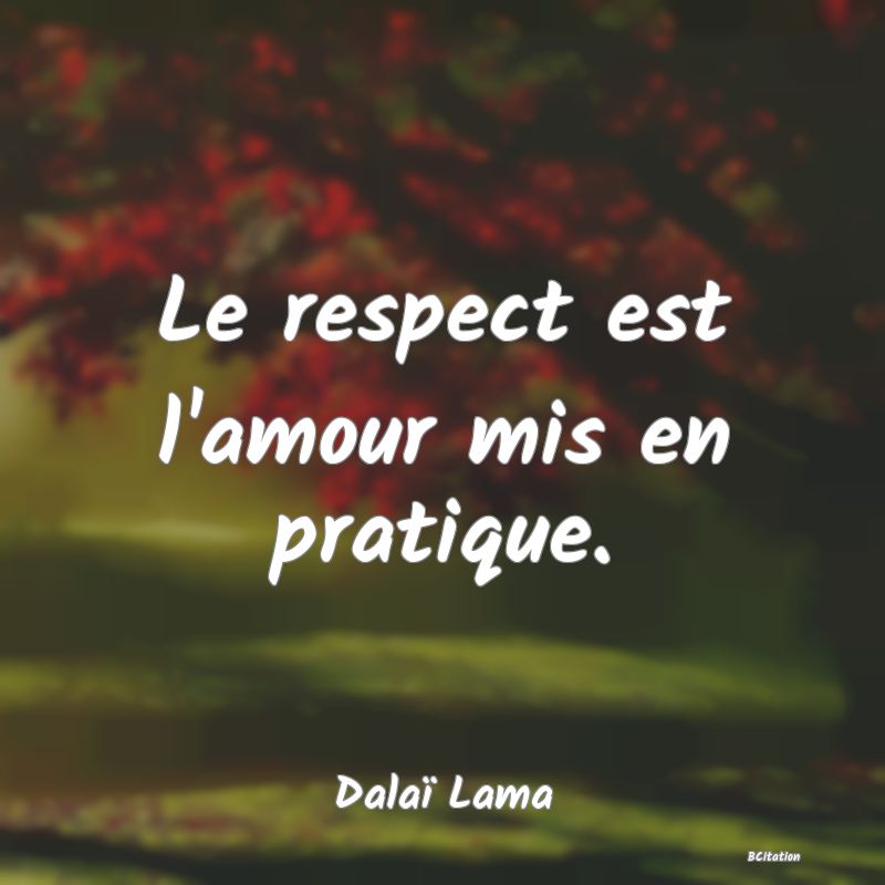 image de citation: Le respect est l'amour mis en pratique.