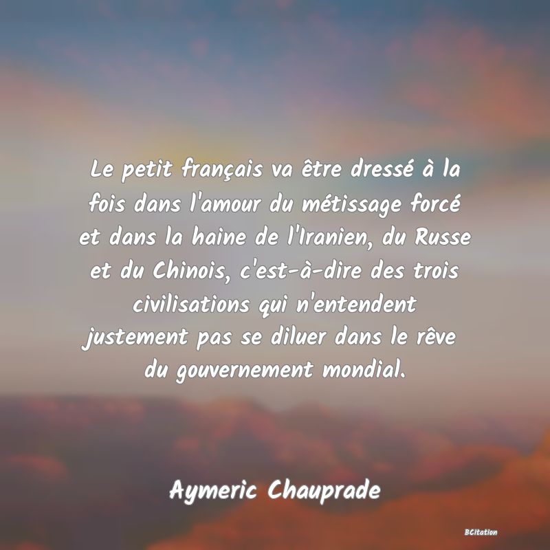 image de citation: Le petit français va être dressé à la fois dans l'amour du métissage forcé et dans la haine de l'Iranien, du Russe et du Chinois, c'est-à-dire des trois civilisations qui n'entendent justement pas se diluer dans le rêve du gouvernement mondial.