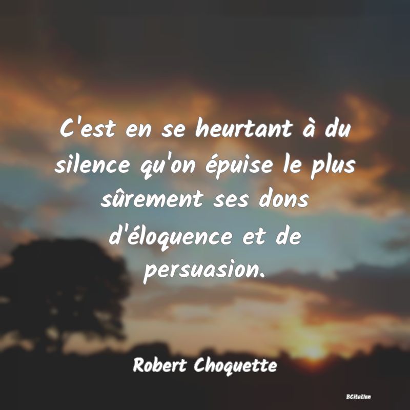 image de citation: C'est en se heurtant à du silence qu'on épuise le plus sûrement ses dons d'éloquence et de persuasion.