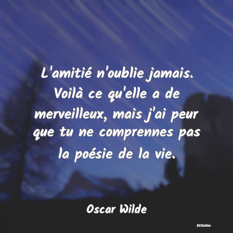 image de citation: L'amitié n'oublie jamais. Voilà ce qu'elle a de merveilleux, mais j'ai peur que tu ne comprennes pas la poésie de la vie.