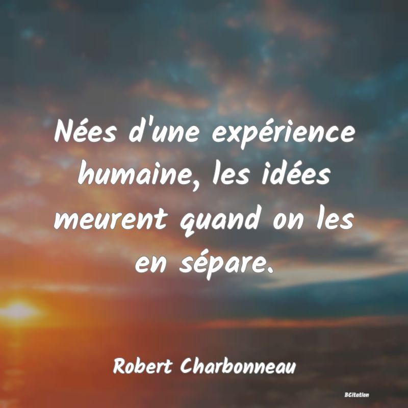 image de citation: Nées d'une expérience humaine, les idées meurent quand on les en sépare.