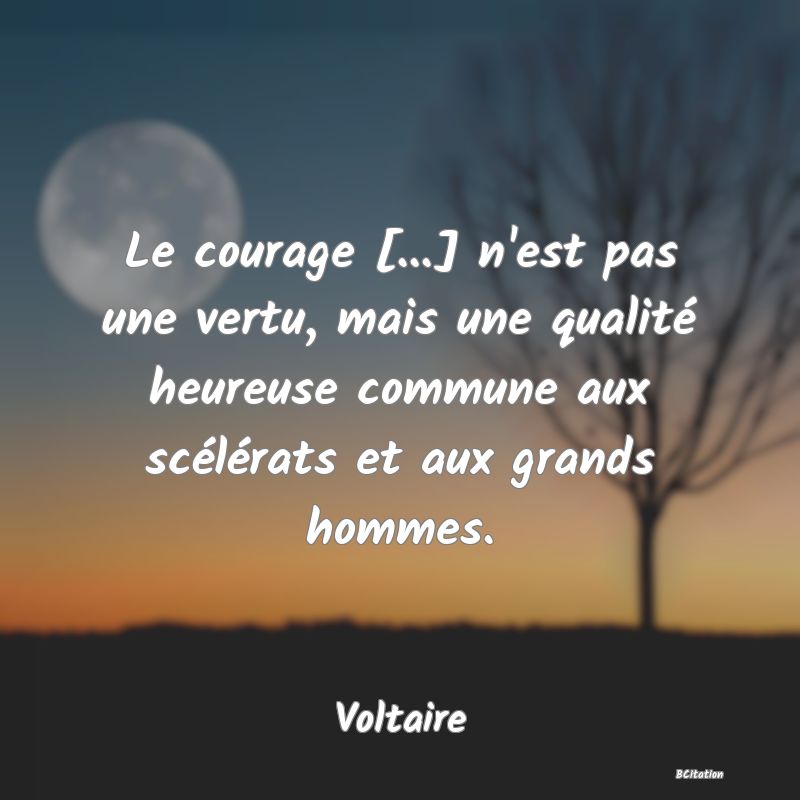 image de citation: Le courage [...] n'est pas une vertu, mais une qualité heureuse commune aux scélérats et aux grands hommes.