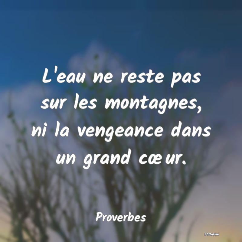 image de citation: L'eau ne reste pas sur les montagnes, ni la vengeance dans un grand cœur.