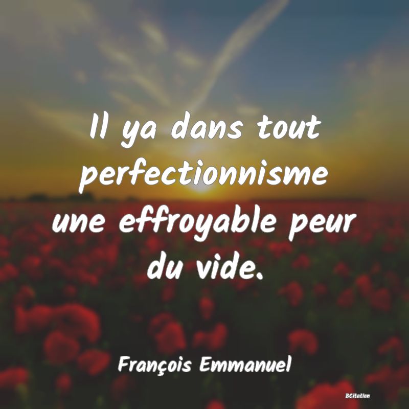 image de citation: Il ya dans tout perfectionnisme une effroyable peur du vide.