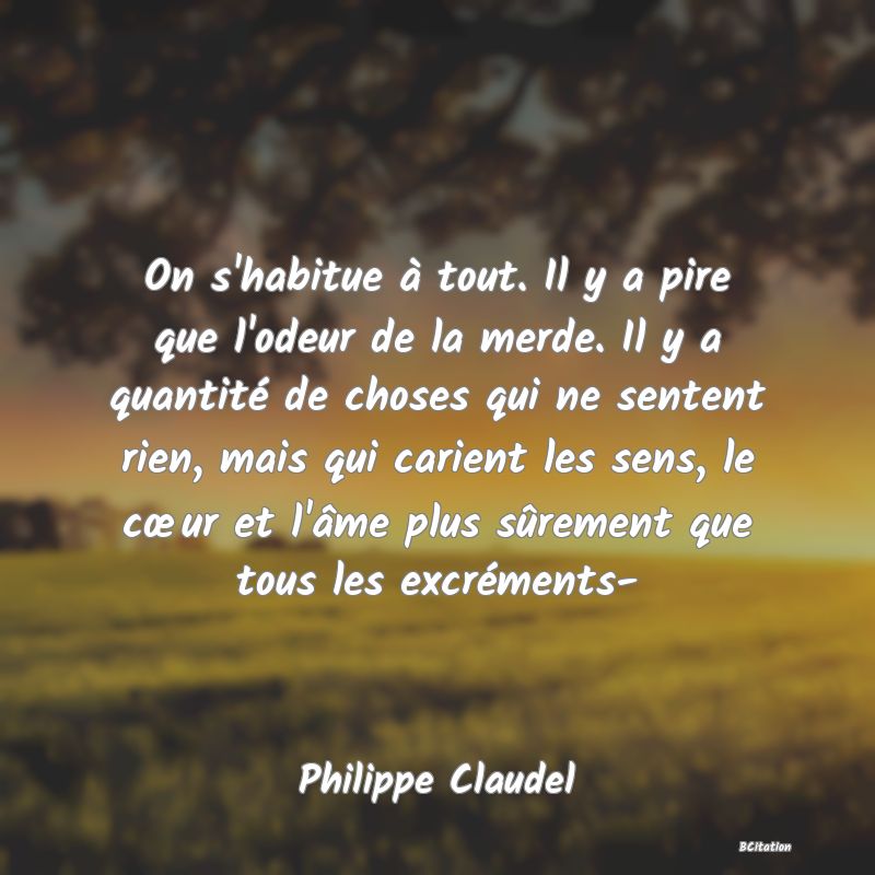 image de citation: On s'habitue à tout. Il y a pire que l'odeur de la merde. Il y a quantité de choses qui ne sentent rien, mais qui carient les sens, le cœur et l'âme plus sûrement que tous les excréments-