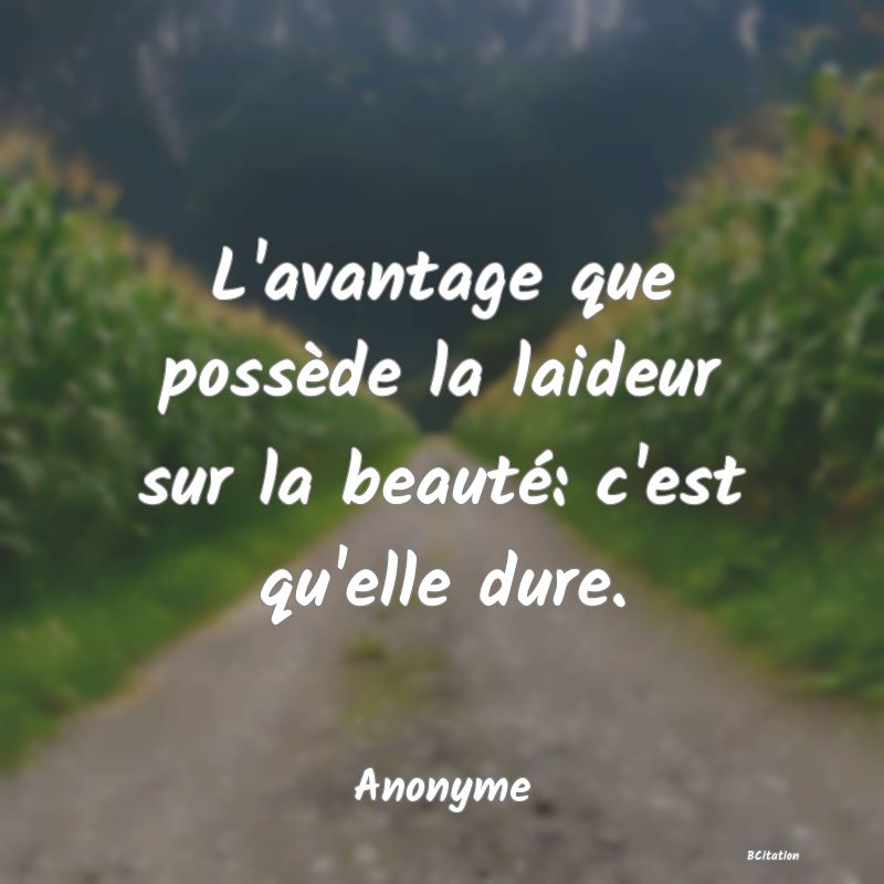 Belle Citation - L'avantage que possède la laideur sur la beauté: c'est qu'elle dure. - Anonyme