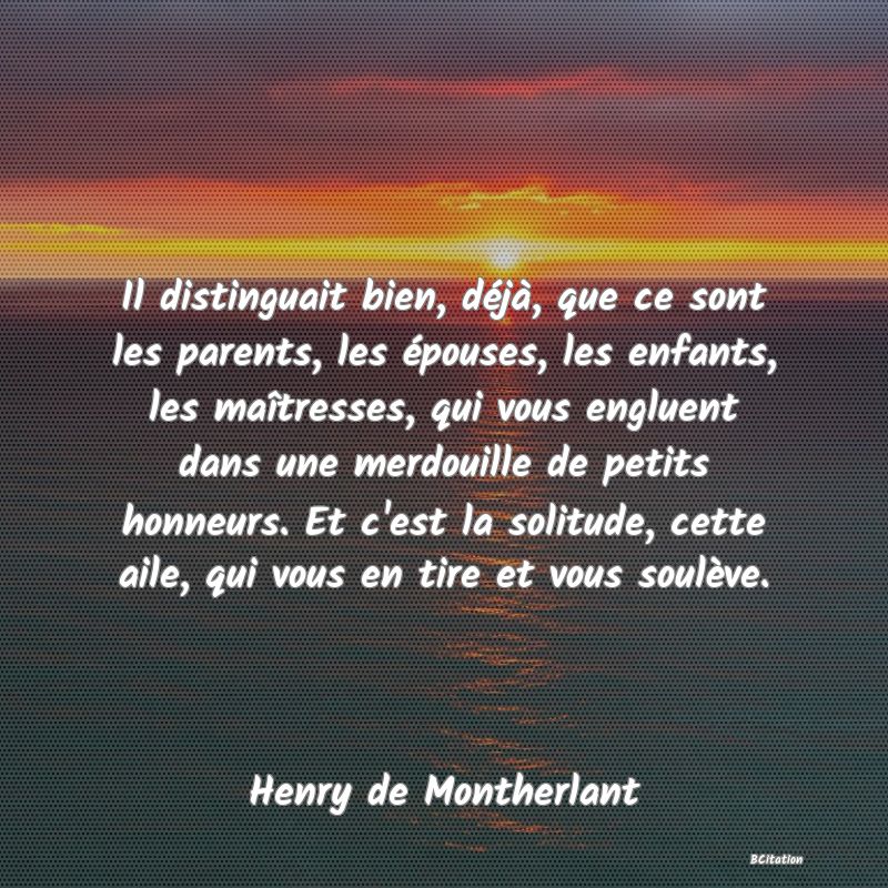 image de citation: Il distinguait bien, déjà, que ce sont les parents, les épouses, les enfants, les maîtresses, qui vous engluent dans une merdouille de petits honneurs. Et c'est la solitude, cette aile, qui vous en tire et vous soulève.