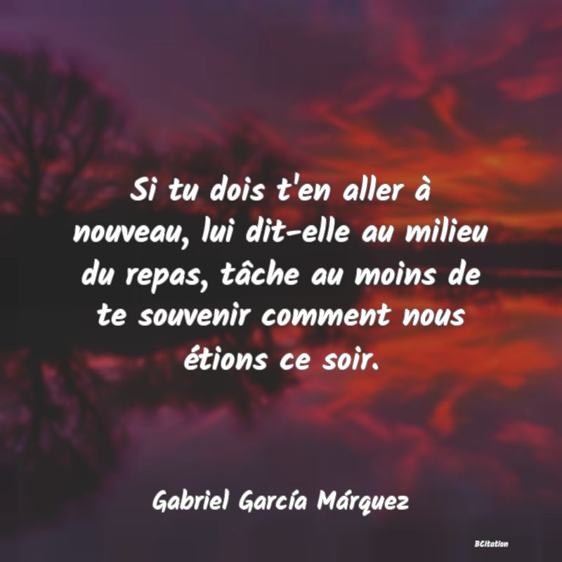 image de citation: Si tu dois t'en aller à nouveau, lui dit-elle au milieu du repas, tâche au moins de te souvenir comment nous étions ce soir.