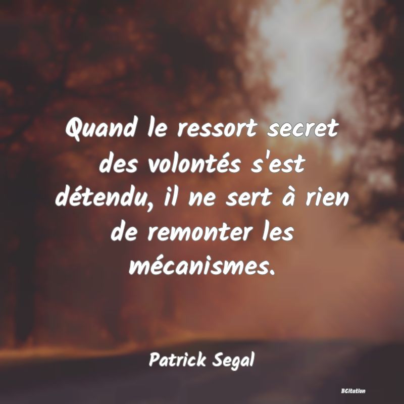 image de citation: Quand le ressort secret des volontés s'est détendu, il ne sert à rien de remonter les mécanismes.