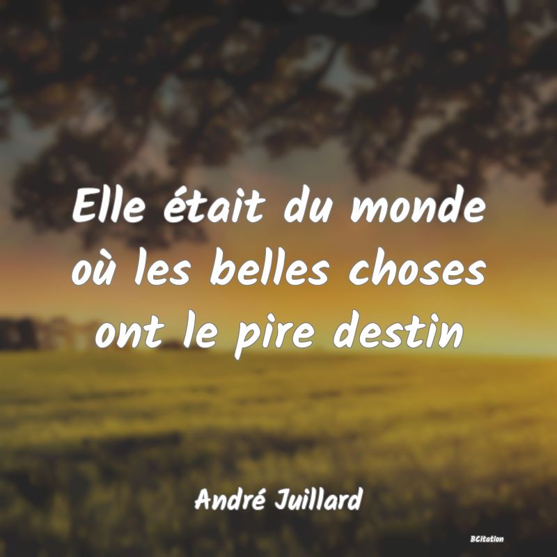 image de citation: Elle était du monde où les belles choses ont le pire destin