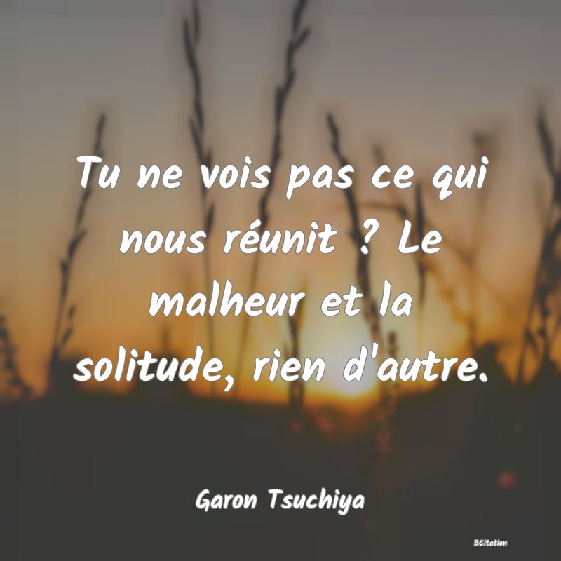 image de citation: Tu ne vois pas ce qui nous réunit ? Le malheur et la solitude, rien d'autre.