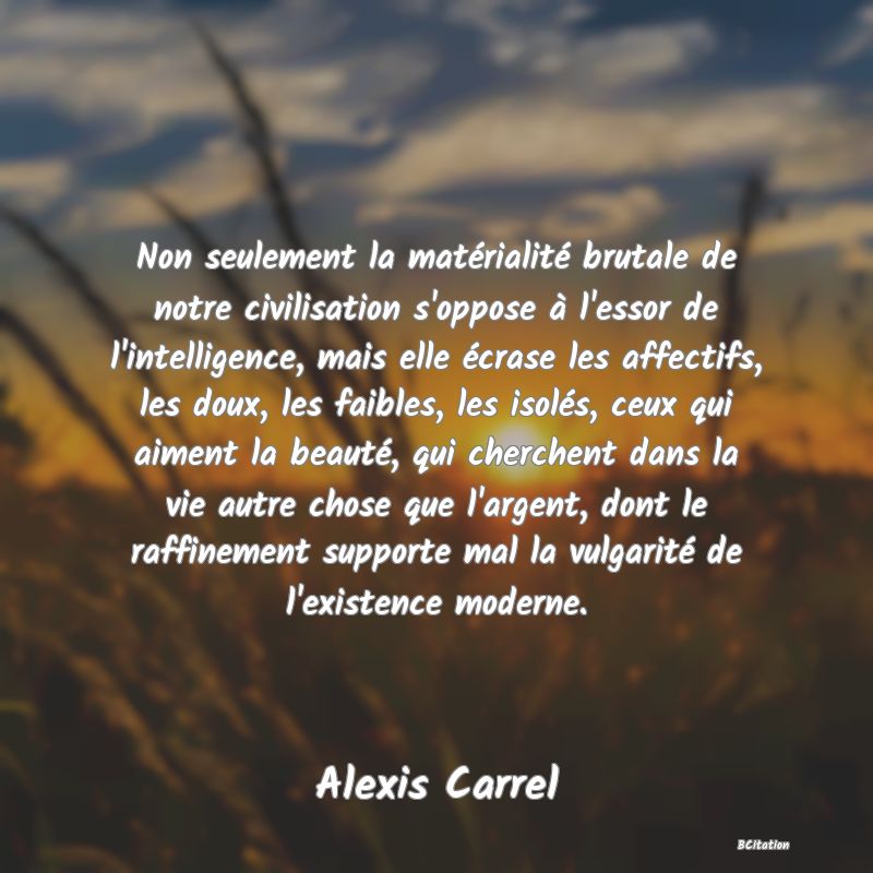 Belle Citation - Non seulement la matérialité brutale de notre civilisation s'oppose à l'essor de l'intelligence, mais elle écrase les affectifs, les doux, les faibles, les isolés, ceux qui aiment la beauté, qui cherchent dans la vie autre chose que l'argent, dont le raffinement supporte mal la vulgarité de l'existence moderne. - Alexis Carrel