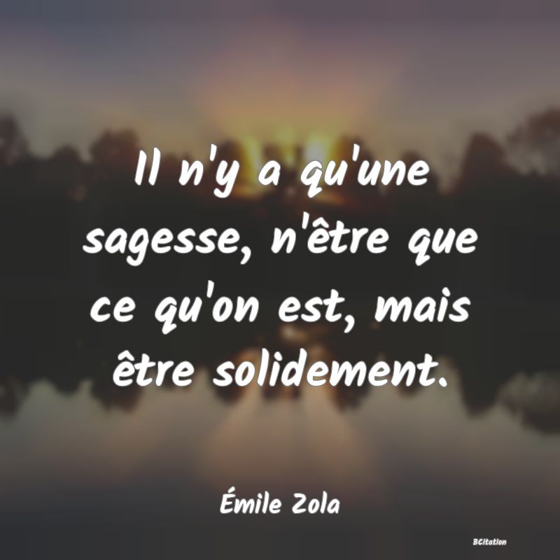 image de citation: Il n'y a qu'une sagesse, n'être que ce qu'on est, mais être solidement.