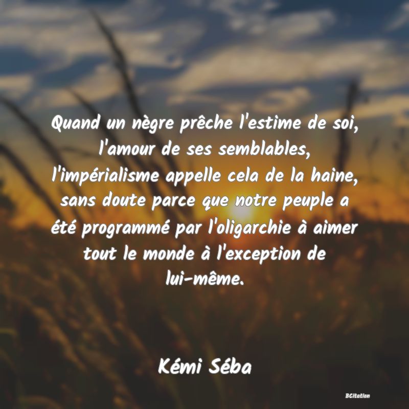 image de citation: Quand un nègre prêche l'estime de soi, l'amour de ses semblables, l'impérialisme appelle cela de la haine, sans doute parce que notre peuple a été programmé par l'oligarchie à aimer tout le monde à l'exception de lui-même.