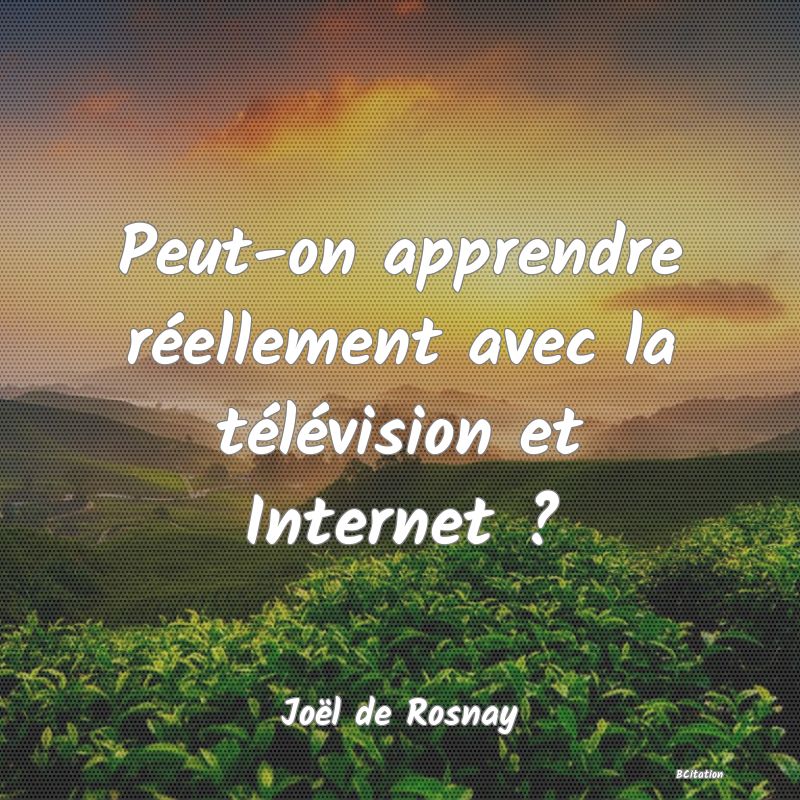 image de citation: Peut-on apprendre réellement avec la télévision et Internet ?