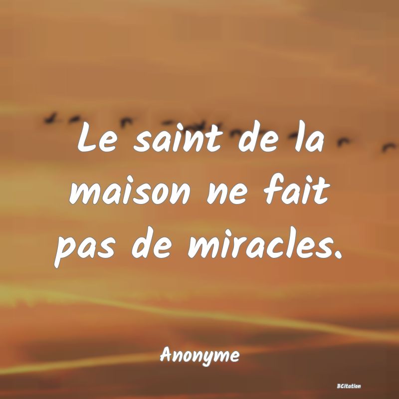 Belle Citation - Le saint de la maison ne fait pas de miracles. - Anonyme