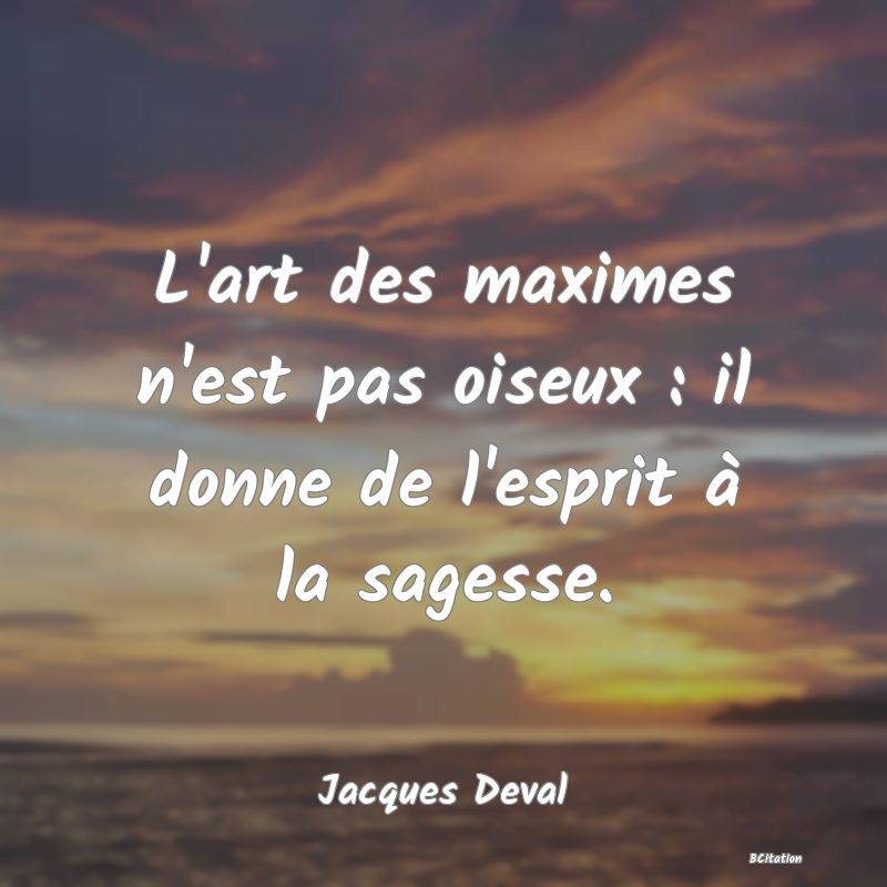 image de citation: L'art des maximes n'est pas oiseux : il donne de l'esprit à la sagesse.