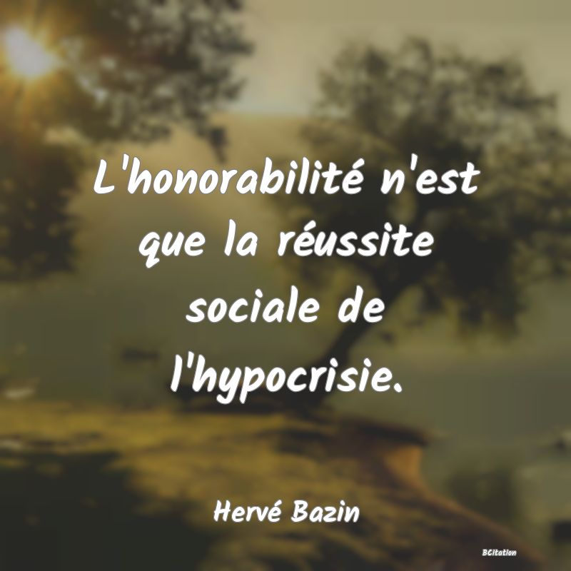image de citation: L'honorabilité n'est que la réussite sociale de l'hypocrisie.