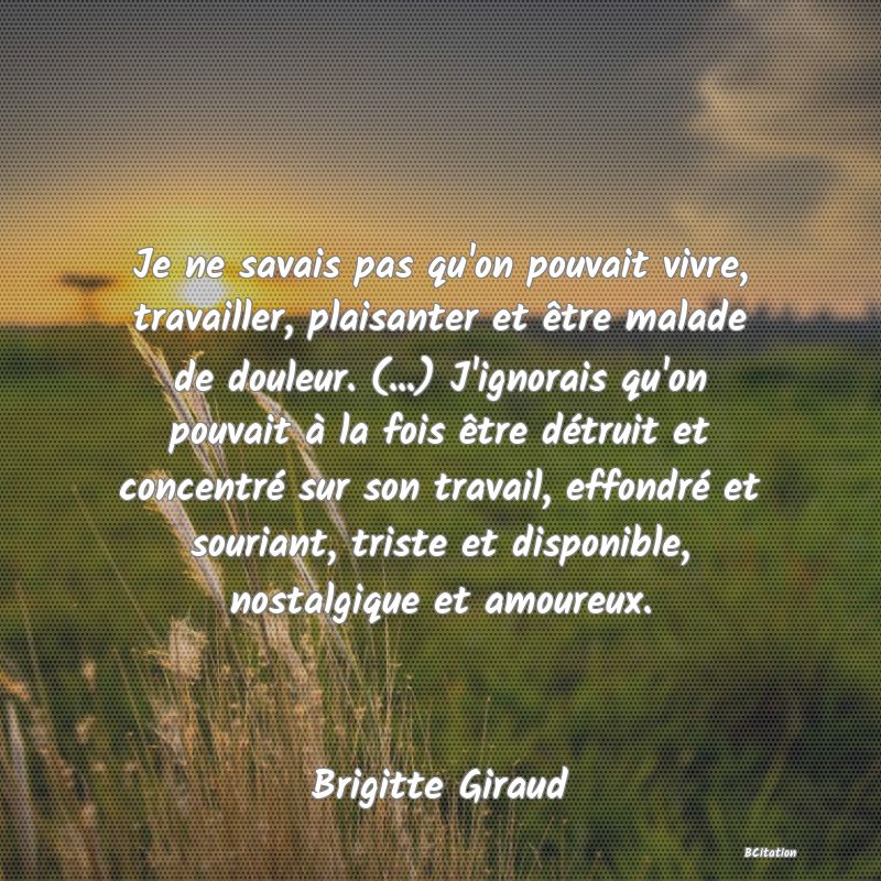 image de citation: Je ne savais pas qu'on pouvait vivre, travailler, plaisanter et être malade de douleur. (...) J'ignorais qu'on pouvait à la fois être détruit et concentré sur son travail, effondré et souriant, triste et disponible, nostalgique et amoureux.