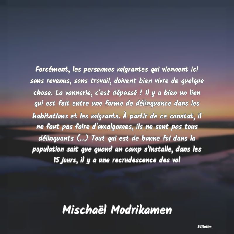 image de citation: Forcément, les personnes migrantes qui viennent ici sans revenus, sans travail, doivent bien vivre de quelque chose. La vannerie, c'est dépassé ! Il y a bien un lien qui est fait entre une forme de délinquance dans les habitations et les migrants. À partir de ce constat, il ne faut pas faire d'amalgames, ils ne sont pas tous délinquants (...) Tout qui est de bonne foi dans la population sait que quand un camp s'installe, dans les 15 jours, il y a une recrudescence des vol