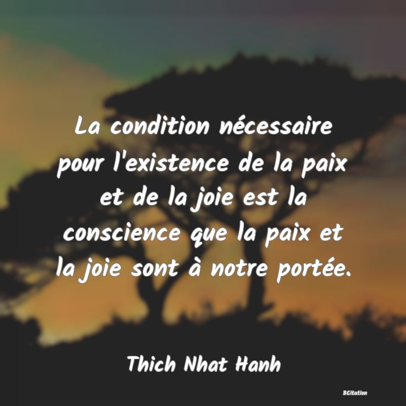Belle Citation - La condition nécessaire pour l'existence de la paix et de la joie est la conscience que la paix et la joie sont à notre portée. - Thich Nhat Hanh
