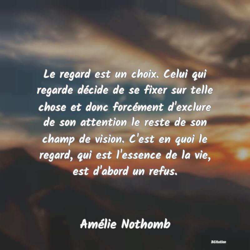 image de citation: Le regard est un choix. Celui qui regarde décide de se fixer sur telle chose et donc forcément d'exclure de son attention le reste de son champ de vision. C'est en quoi le regard, qui est l'essence de la vie, est d'abord un refus.