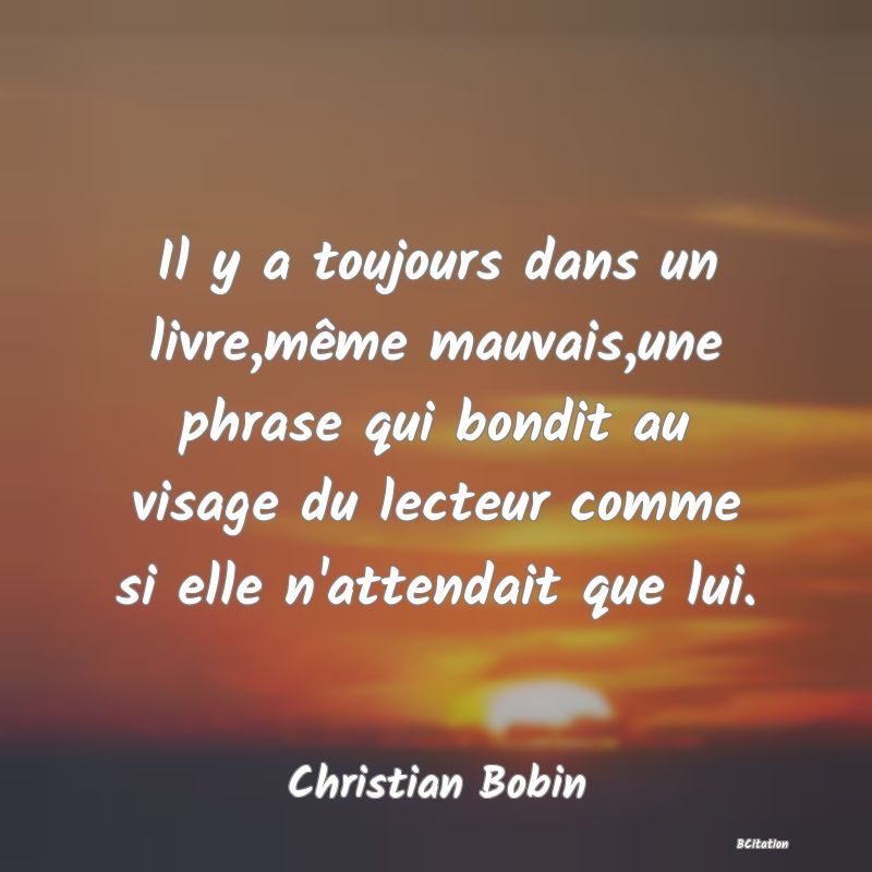 image de citation: Il y a toujours dans un livre,même mauvais,une phrase qui bondit au visage du lecteur comme si elle n'attendait que lui.