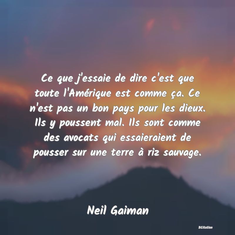 Belle Citation - Ce que j'essaie de dire c'est que toute l'Amérique est comme ça. Ce n'est pas un bon pays pour les dieux. Ils y poussent mal. Ils sont comme des avocats qui essaieraient de pousser sur une terre à riz sauvage. - Neil Gaiman