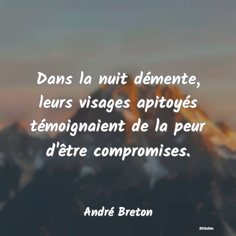 image de citation: Dans la nuit démente, leurs visages apitoyés témoignaient de la peur d'être compromises.