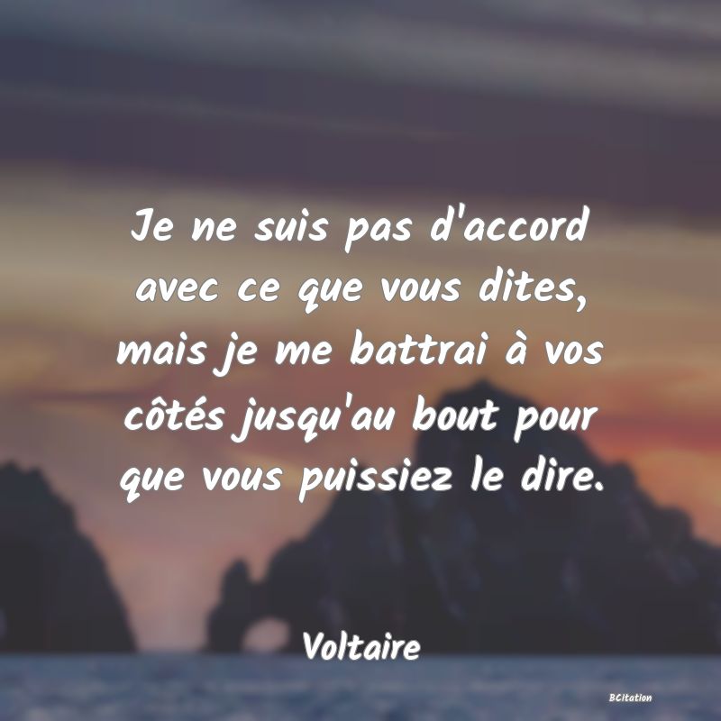 image de citation: Je ne suis pas d'accord avec ce que vous dites, mais je me battrai à vos côtés jusqu'au bout pour que vous puissiez le dire.