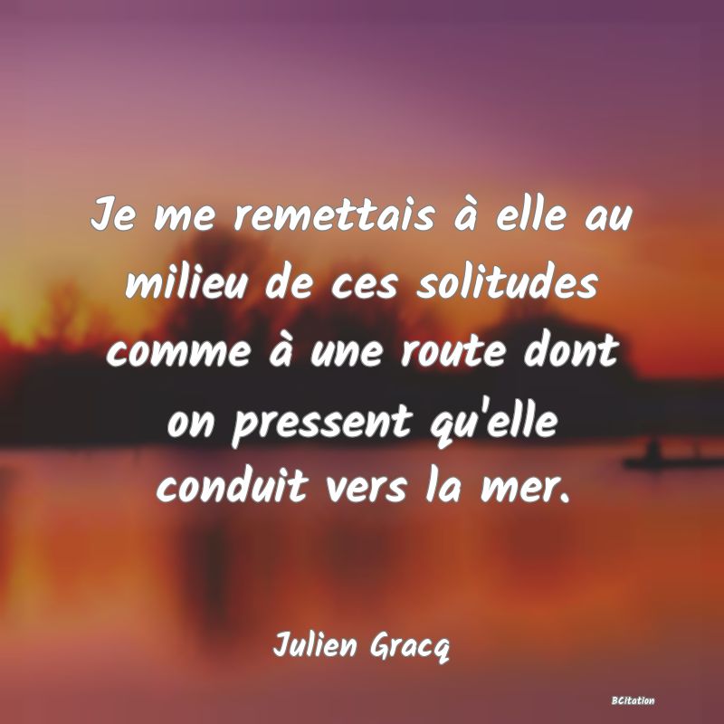 image de citation: Je me remettais à elle au milieu de ces solitudes comme à une route dont on pressent qu'elle conduit vers la mer.