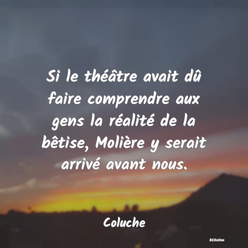 image de citation: Si le théâtre avait dû faire comprendre aux gens la réalité de la bêtise, Molière y serait arrivé avant nous.