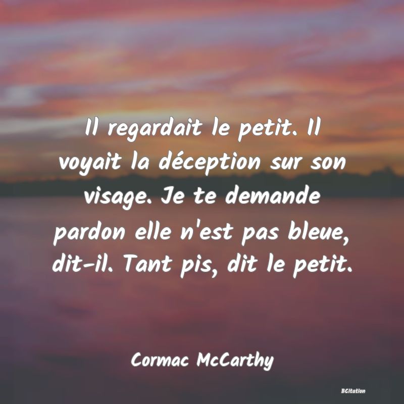 image de citation: Il regardait le petit. Il voyait la déception sur son visage. Je te demande pardon elle n'est pas bleue, dit-il. Tant pis, dit le petit.