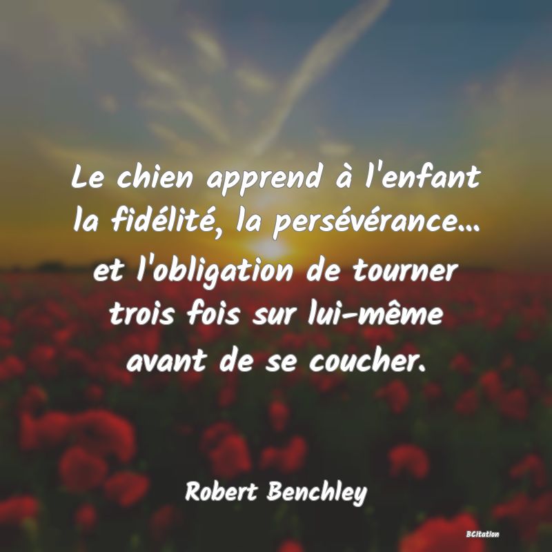 image de citation: Le chien apprend à l'enfant la fidélité, la persévérance... et l'obligation de tourner trois fois sur lui-même avant de se coucher.