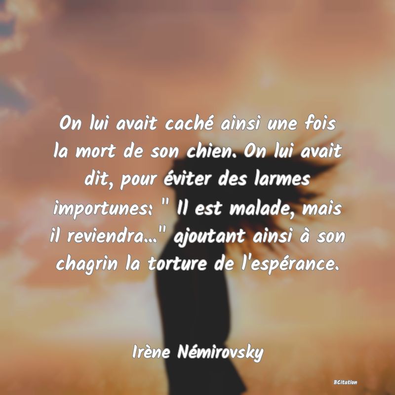 image de citation: On lui avait caché ainsi une fois la mort de son chien. On lui avait dit, pour éviter des larmes importunes:   Il est malade, mais il reviendra...  ajoutant ainsi à son chagrin la torture de l'espérance.