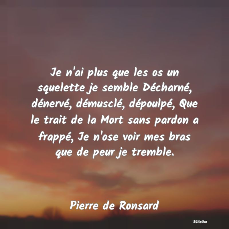 image de citation: Je n'ai plus que les os un squelette je semble Décharné, dénervé, démusclé, dépoulpé, Que le trait de la Mort sans pardon a frappé, Je n'ose voir mes bras que de peur je tremble.