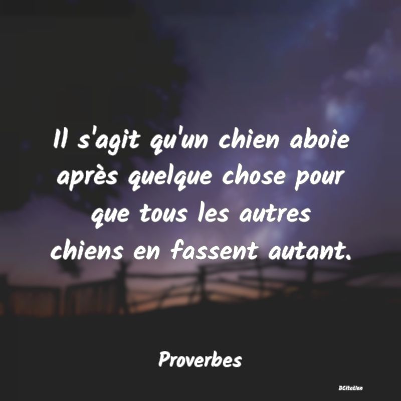 image de citation: Il s'agit qu'un chien aboie après quelque chose pour que tous les autres chiens en fassent autant.