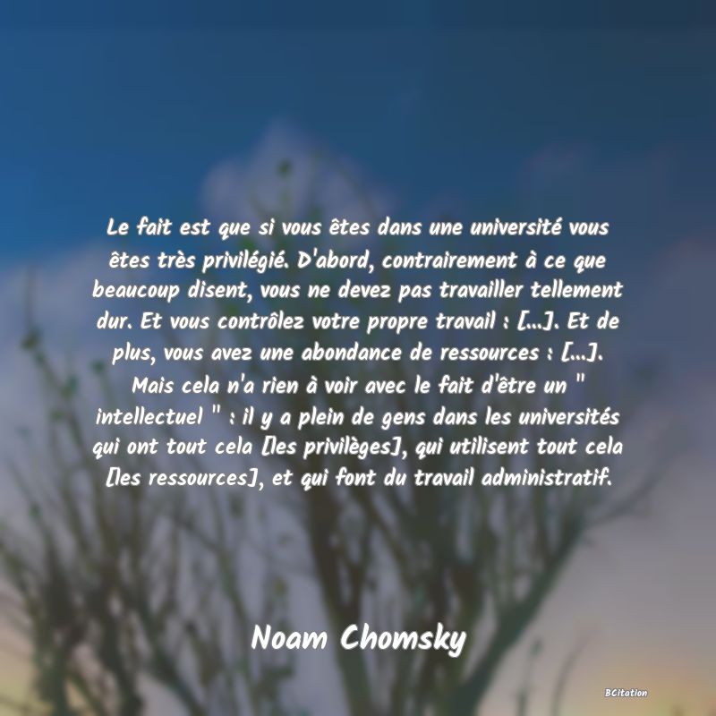 Belle Citation - Le fait est que si vous êtes dans une université vous êtes très privilégié. D'abord, contrairement à ce que beaucoup disent, vous ne devez pas travailler tellement dur. Et vous contrôlez votre propre travail : [...]. Et de plus, vous avez une abondance de ressources : [...]. Mais cela n'a rien à voir avec le fait d'être un 