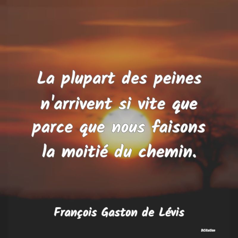 image de citation: La plupart des peines n'arrivent si vite que parce que nous faisons la moitié du chemin.