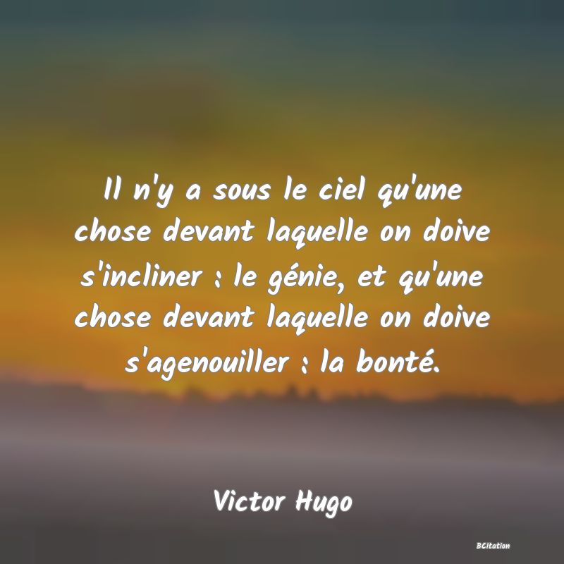 image de citation: Il n'y a sous le ciel qu'une chose devant laquelle on doive s'incliner : le génie, et qu'une chose devant laquelle on doive s'agenouiller : la bonté.