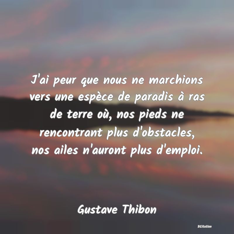 image de citation: J'ai peur que nous ne marchions vers une espèce de paradis à ras de terre où, nos pieds ne rencontrant plus d'obstacles, nos ailes n'auront plus d'emploi.