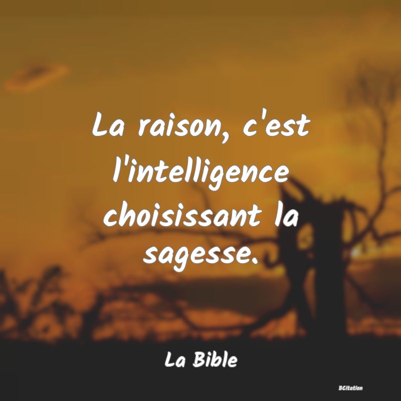 image de citation: La raison, c'est l'intelligence choisissant la sagesse.