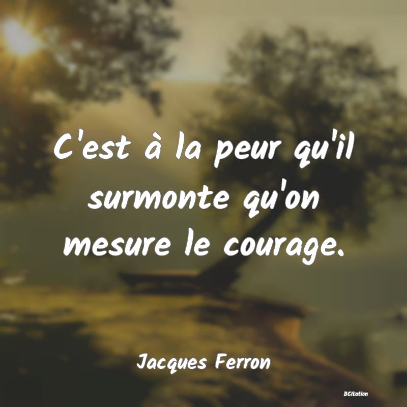 image de citation: C'est à la peur qu'il surmonte qu'on mesure le courage.