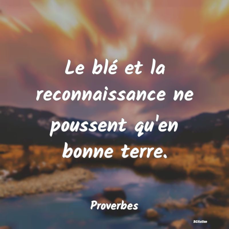 image de citation: Le blé et la reconnaissance ne poussent qu'en bonne terre.