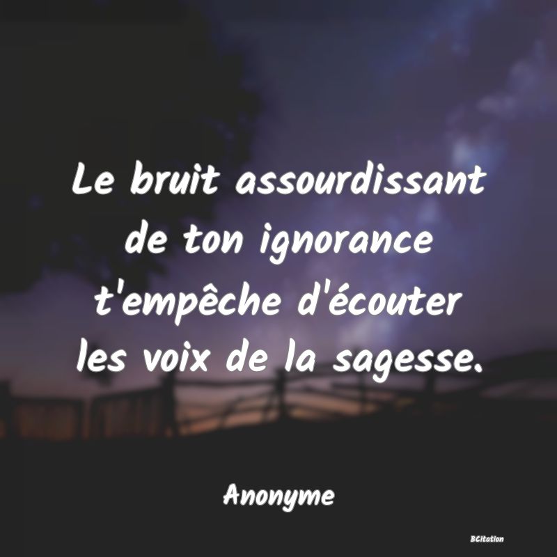 Belle Citation - Le bruit assourdissant de ton ignorance t'empêche d'écouter les voix de la sagesse. - Anonyme