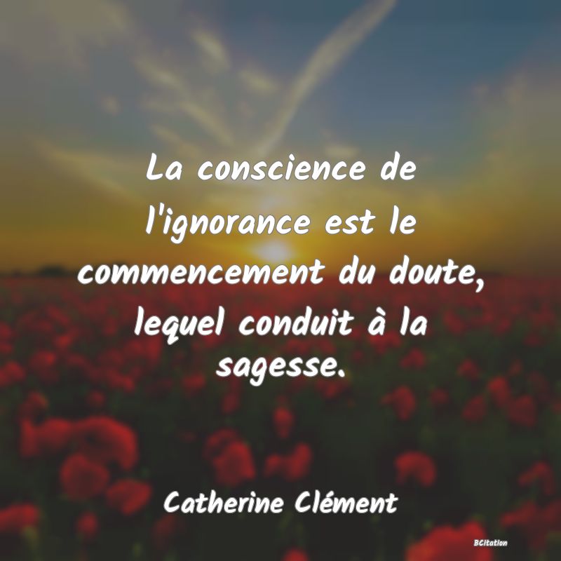 Belle Citation - La conscience de l'ignorance est le commencement du doute, lequel conduit à la sagesse. - Catherine Clément