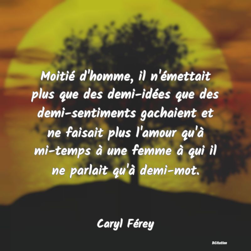 image de citation: Moitié d'homme, il n'émettait plus que des demi-idées que des demi-sentiments gachaient et ne faisait plus l'amour qu'à mi-temps à une femme à qui il ne parlait qu'à demi-mot.