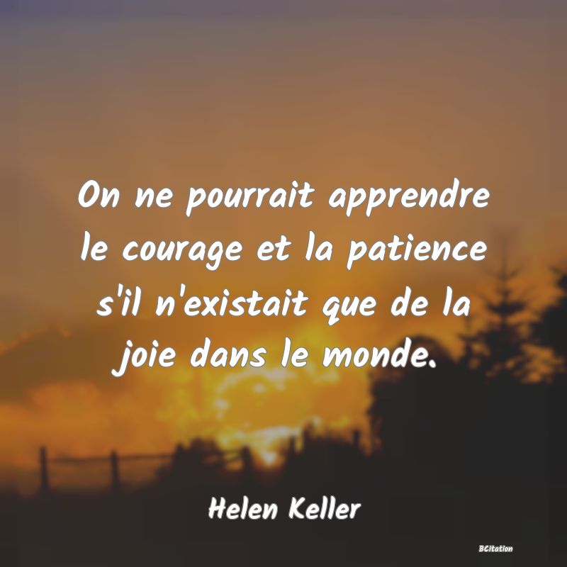 image de citation: On ne pourrait apprendre le courage et la patience s'il n'existait que de la joie dans le monde.